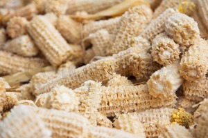 ข้าวโพดแห้งคุณภาพสูงเทรนด์2024ส่งออกสินค้าเกษตร - Product Image 2