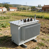 Transformateur triphasé immergé dans l'huile S13 M 200KVA 11KV 0.4KV à enroulement en aluminium, refroidissement ONAN, norme IEC60076, puissance industrielle