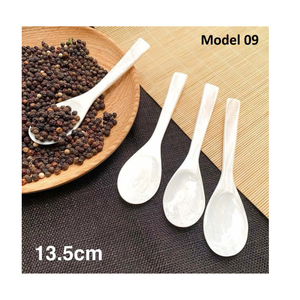 Handcrafted Vietnam Seashell <b>Spoon</b> Natural Shell <b>Serving</b> Utensil Decorative Tableware for Hospitality Industry - Product Image 5