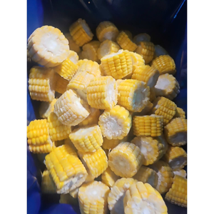 Batata Congelada IQF de Grado Premium, Proceso de Congelación al Vacío, Embalaje OEM de Vietnam para Importadores Globales - Product Image 5