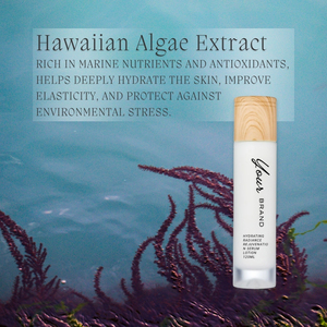 เซรั่มบำรุงผิว CHORUS Professional Salon Hydrating สำหรับผิวแพ้ง่าย ฟื้นฟูหลังทำเลเซอร์ สูตรเซราไมด์ ผลิตภัณฑ์ดูแลผิวแบบ Private Label - Product Image 2