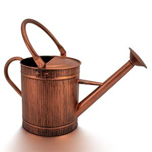 Handcrafted Copper <b>Watering</b> <b>Can</b> for Indoor Outdoor Plants Garden Home Decor <b>Vintage</b> Metal Plant <b>Watering</b> cane with Long Spout - Product Image 1