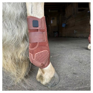 Protège-tendons en néoprène pour chevaux, accessoires équestres haut de gamme pour l'extérieur, protections de jambes pour sports équestres, protections injectables pour chevaux - Product Image 5