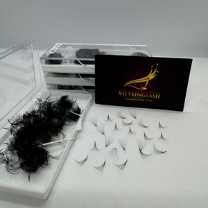 Wholesale Vietnam Handmade 10D Premade Wet Look Eyelash Extensions 0.05 Synthetic Hair Natural Long C CC Curl Matte Black <b>Volume</b> - Product Image 3