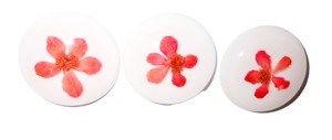 Viola Herb Flower - Espécimen de Planta Real en Cabujón de Plástico Redondo de 35x35 mm, Base Plana Blanca para Manualidades y Joyería - Product Image 6