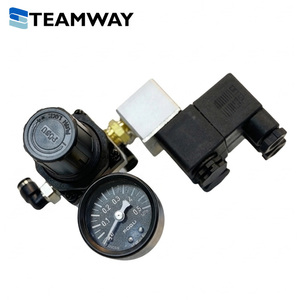 Régulateur de pression d'air pneumatique TEAMWAY R07-3V2-220V-L avec électrovanne 220V pour unité de traitement d'air comprimé - Product Image 2