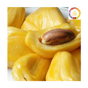 Frozen Jackfruit IQF Vietnam | Seedless Sweet Fruit | Bulk Supply for Importers Distributor OEM - Product Image 1