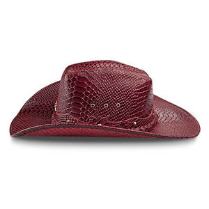 Sombrero Vaquero a Rayas Personalizado de Invierno para Hombre y Mujer, Estilo Casual - Product Image 1