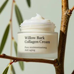 Crème hydratante anti-âge premium coréenne au sébum de saule, céramide et acide hyaluronique pour la nuit - Product Image 1