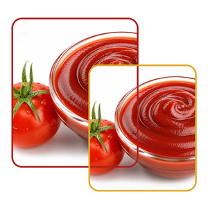 Salsa de tomate de calidad internacional, deliciosa, de fábrica en Vietnam, envasada en botellas de varios tamaños, a precio de fábrica. - Product Image 3