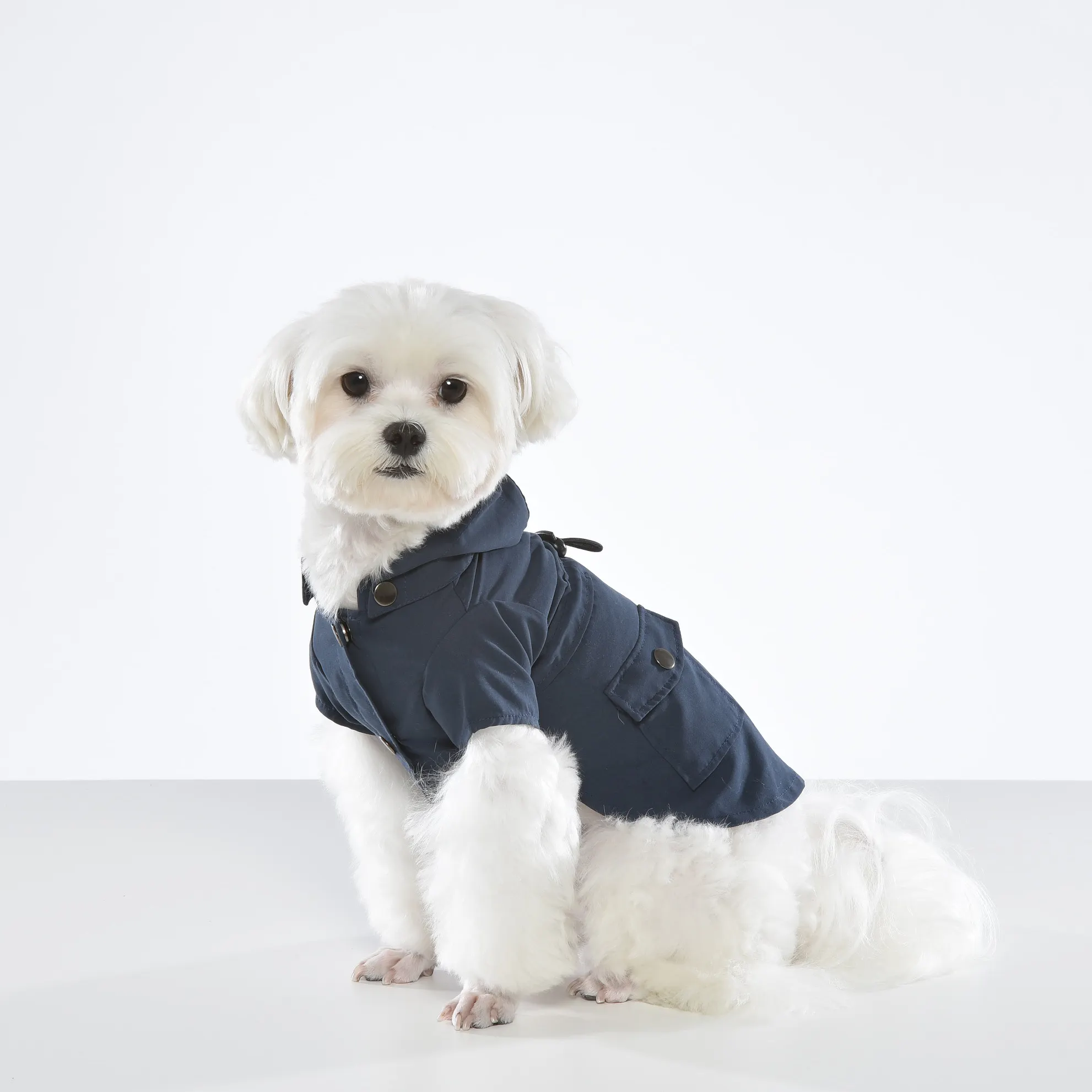 ODM windproof outdoor pet middle dog clothes with detachable hood