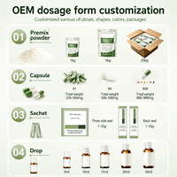 Capsule Probiotique Haute Puissance Certifiée GRAS pour la Santé Gastro-intestinale, Gestion Complète de la Chaîne d'Approvisionnement, Usine OEM Personnalisée