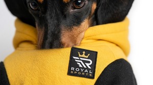 Soft <b>Dog</b> <b>Hoodies</b> Offering Warmth Comfort Breathable Fabric And Modern Style Perfect For Daily Wear Travel Walks And Outdoor Fun - Product Image 6
