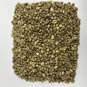 Vietnam Robusta Coffee Raw Green <b>Beans</b> Ripe 95% Ready for Custom Packaging Export and Roaster Supply - Product Image 6