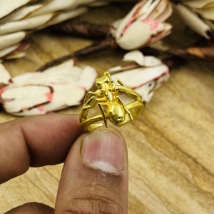 Anillos de diseño moderno con forma de hormiga, de latón estilo bohemio, para mujer, chapados en oro de 18k, con dije de insecto, delicados y llamativos, para venta al por mayor/OEM/ODM - Product Image 2