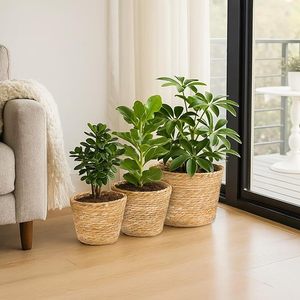 Cesta de mimbre tejida a mano al por mayor con asa y forro, maceta de almacenamiento natural, decoración rústica para interiores y exteriores para el hogar y la oficina - Product Image 3