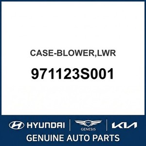 Repuestos y Accesorios para Autos y Camiones Sonata Nuevos 971123S001 - Product Image 1