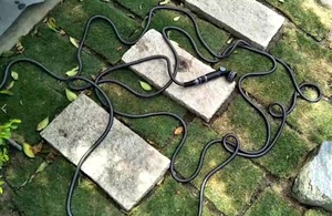 Caractéristiques-Tuyau d'arrosage en plastique avec eau et bobines pour le jardinage - Product Image 6