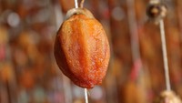 Verse natuurlijke persimmon, premium Vietnamese fruit voor detailhandel supermarkten & wereldwijde export // Mevr. Lily Ngo