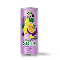 Soda à la framboise prébiotique innovant 250ml Boisson pétillante fonctionnelle OEM Vietnam Factory