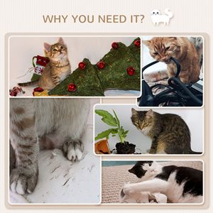 Centro Attività per Gatti a 4 Livelli da Parete, Naturale, con Tiragraffi e Cuscini - Product Image 6