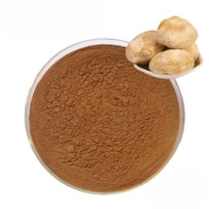 Extrait de Crinière de Lion le plus vendu, poudre 10:1 en forme fine, poudre pure de Crinière de Lion favorisant la mémoire, la clarté mentale et la concentration - Product Image 3