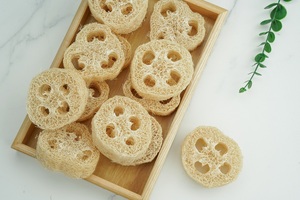 ใยบวบธรรมชาติสีขาวจากเวียดนามสำหรับทำสบู่, ใยบวบขัดผิวสำหรับดูแลผิว, อุปกรณ์ทำสบู่ใยบวบ - Product Image 2