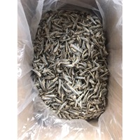 Anchois entiers séchés et salés style Tinapa du Vietnam pour l'export en vrac – Produit de poisson délicieux