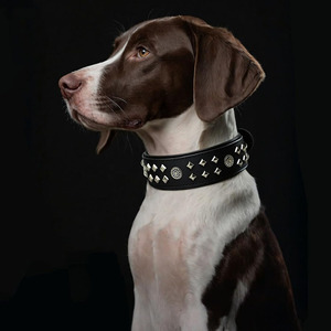 Adjustable Leather <b>Braided</b> Dogs pet Collars with <b>braided</b> detailing for secure and comfortable fit in reasonable price - Product Image 4