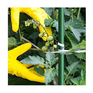เสาค้ำต้นมะเขือเทศแบบไฟเบอร์กลาสสำหรับสวน - Product Image 1