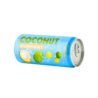 24 maanden OEM/ODM 330ml blikje Kumquat-gearomatiseerde kokoswaterdrank Private Label Fruit & Groente Sap