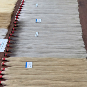 Cheveux humains vietnamiens de luxe colorés en vrac, double épaisseur, pointes épaisses, doux et soyeux, sans trame, texture naturelle, vente en gros, prêts à être expédiés - Product Image 1