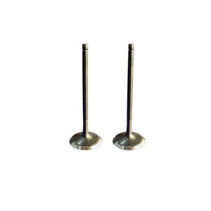 Kit de válvula de 4 tiempos para repuesto de 3 ruedas de Bajaj, producto indio de calidad exportada, a la venta a precio de margen al país de Colombia - Product Image 3