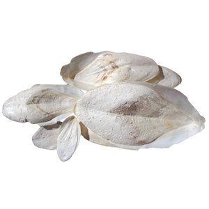 Os de Seiche Naturel de Haute Qualité BLUE LOTUS – Soin et Calcium Durables pour Oiseaux et Reptiles 1,0 kg - Product Image 1