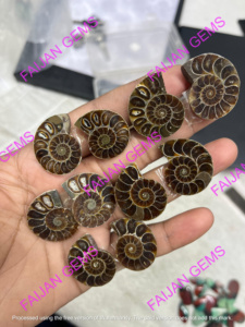 Tranches de Fossile d'Ammonite Naturelle de Haute Qualité - Certifiées par un tiers - Taille personnalisable - Fournitures pour la fabrication de bijoux - FIJAN GEMS - Product Image 5