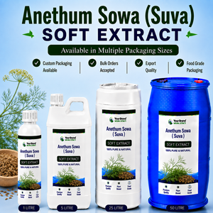 Anethum Sowa (Suva) Capsules molles, complément alimentaire à base de plantes purement naturel, qualité alimentaire, emballage en vrac - Product Image 1