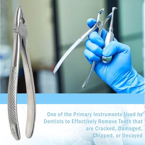 Forceps d'extraction dentaire en acier inoxydable de haute qualité, modèle américain professionnel, pour dents supérieures et inférieures, instrument chirurgical manuel - Product Image 5