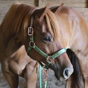 Cuerda de Amarre para Caballos Trenzada Premium con Mosquetón Metálico Reforzado, Cuerda Resistente y Suave para Control de Caballos, Montar y Entrenar - Product Image 5