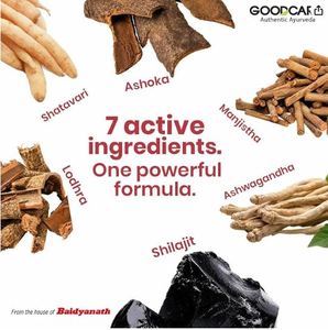Cápsulas de Resina de Shilajit del Himalaya Premium, Alta Pureza, Ricas en Minerales, Grado Alimenticio, SHREE BAIDYANATH, Precio al por Mayor en Botella, India - Product Image 3