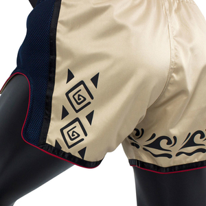 Nuevo Diseño, Shorts de Muay Thai Fairtex Sublimados al por Mayor, 100% Poliéster para Adultos, Shorts de Lucha Fairtex para MMA - Product Image 2