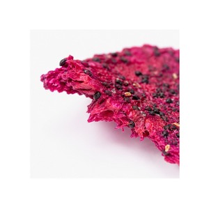 Oferta Especial: Fruta del Dragón Deshidratada Suave de Primera Calidad, Suministrada por Fabricante Vietnamita, Empacada en Bolsas de 500g - Product Image 4