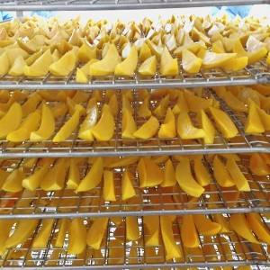 Le fournisseur du Vietnam offre un prix compétitif pour la mangue séchée, tranches de mangue séchée naturelle-mangue séchée idéale pour les collations - Product Image 6