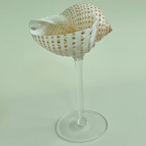 Unique sea shell & metal wine glass adds sophistication to <b>beverage</b> <b>serving</b> Perfect for luxury gift <b>sets</b> - Product Image 5