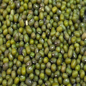 Vente en gros de haricots mungo verts de qualité supérieure 100% - Marque personnalisée - Durée de conservation de 2 ans - Stockage à l'abri de la chaleur et de l'humidité - Prix avantageux - En promotion - Product Image 5