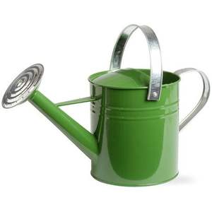 Arrosoir en métal robuste pour jardinage professionnel, en acier, design anti-fuite, poignée équilibrée, bec long et étroit - Product Image 1