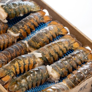 ส่งออกหางกุ้งล็อบสเตอร์แช่แข็งที่เตรียมไว้สำหรับตลาดอาหารทะเลระหว่างประเทศ พร้อมเนื้อนุ่มคุณภาพเยี่ยมสำหรับธุรกิจบริการอาหาร - Product Image 3