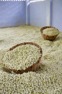 MEJOR PRECIO Blue Lotus 2025 Jazmín seco Aroma ligero Perfecto para mezcla de té y bolsas aromáticas - Product Image 3