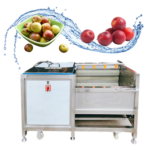 Laveuse automatique à bulles pour nettoyer les produits agricoles comme les épinards, la laitue, le céleri, les fraises et les tomates - Product Image 1