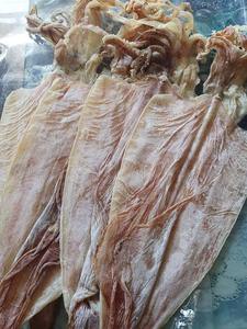 Tube de calmar séché avec peau 20-22cm, fait main, emballé sous vide, produit de la mer naturel, riche en protéines, longue durée de conservation, Vietnam, prêt à consommer - Product Image 1