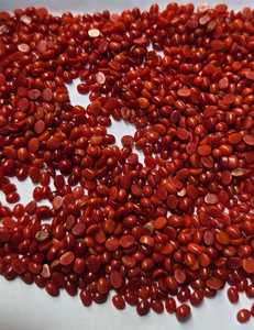 Coral rouge italien ovale, taille mm, meilleure qualité, belle couleur, pierre précieuse, pierre précieuse en vrac pour la création de bijoux - Product Image 1